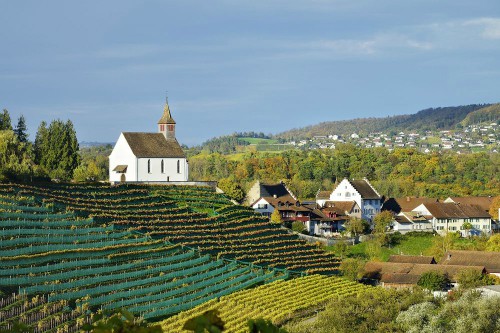 Một góc làng Rheinau tại Thụy Sỹ. Ảnh: AFP