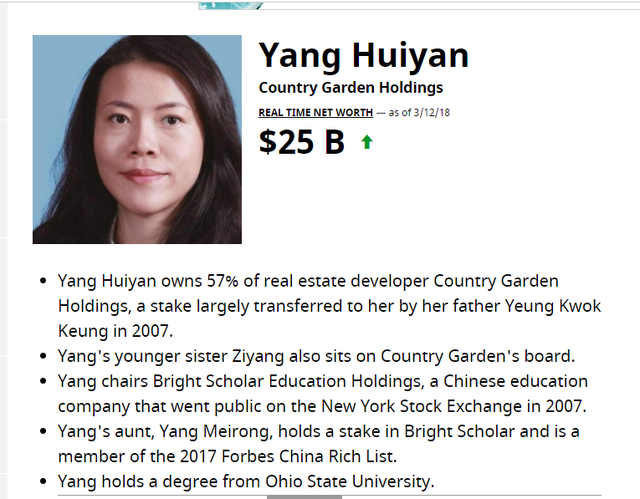 Chân dung mỹ nữ tỷ đô giàu nhất Trung Quốc: Đi lên từ bất động sản, lọt top thế giới từ năm 24 tuổi - Ảnh 1.