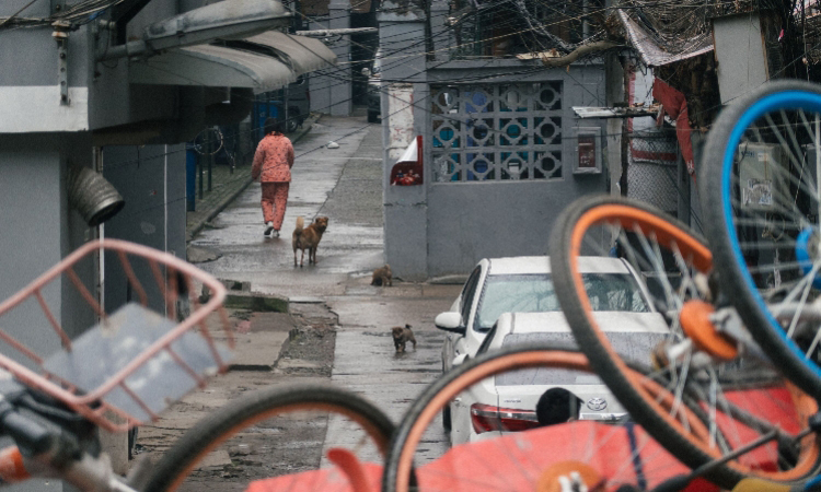 Một con ngõ nhỏ tại quận Kiều Khẩu, Vũ Hán những ngày dịch CoVid 19 bùng phát. Ảnh: Southern Metropolis Daily.