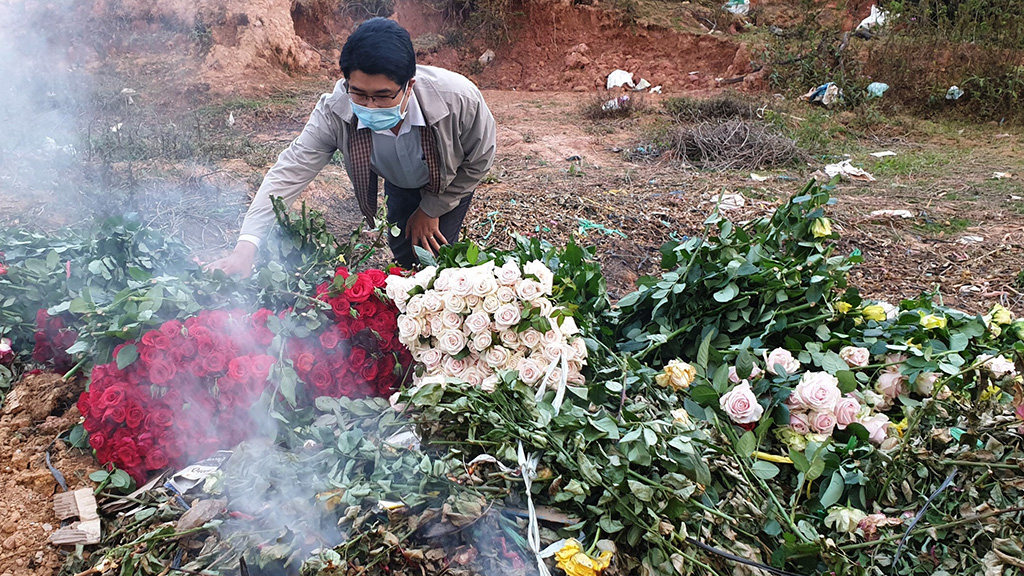Hoa hồng bị cắt bỏ tại huyện Lạc Dương, Lâm Đồng - Ảnh: M.VINH