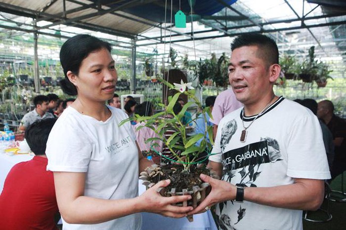 Sau khi vào vườn thấy cây lan quý xổ bông anh Nguyễn Huy Tuyến (Hà Đông, TP Hà Nội) đã quyết định mua với trị giá 5 tỷ đồng. (Ảnh: Dân Việt)