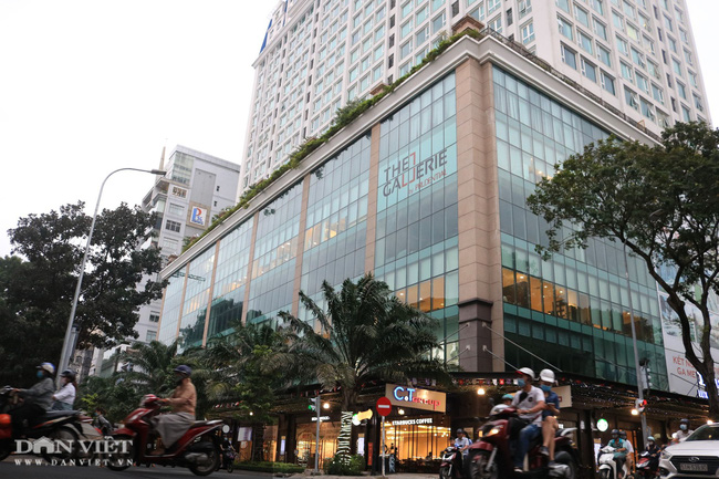 Dự án Léman Luxury Apartments của Phương Nam Land tại địa chỉ 117 Nguyễn Đình Chiểu, quận 3, TP.HCM đang bị Vietinbank thông báo bán đấu giá. Ảnh: Ngọc Thảo