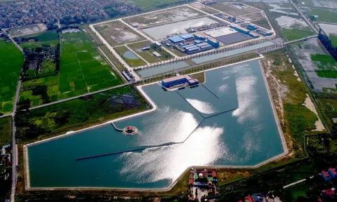 Hệ sinh thái nghìn tỷ Aqua One Group của bà Đỗ Thị Kim Liên