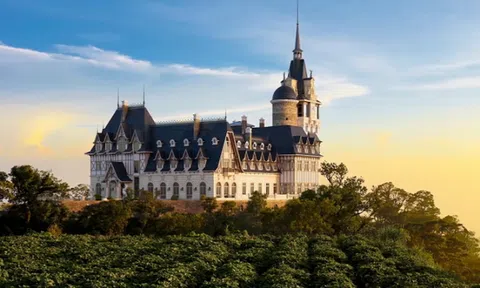 Bất ngờ với ông chủ lâu đài khủng Tam Đảo, nhiều năm ẩn mình thâu tóm quỹ đất trải dài từ Hà Nội, Sapa, Hòa Bình...đến Khánh Hòa