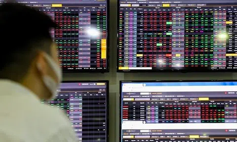 Hơn 300 mã chứng khoán trên sàn HoSE đỏ lửa, VN-Index 'bốc hơi' gần 28 điểm