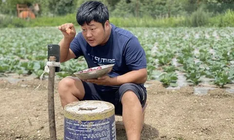 Khởi nghiệp với nghề livestream về nội dung nông thôn, nông dân Trung Quốc kiếm triệu USD