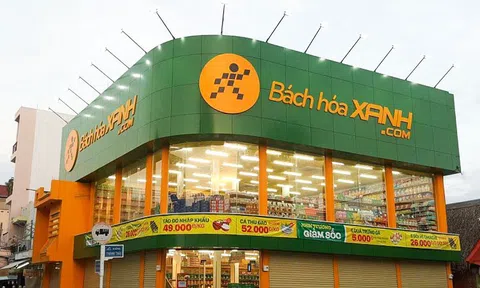 Bách hóa Xanh tăng giá bán hàng giữa thời kỳ cao điểm dịch, cổ phiếu MWG liên tục lập đỉnh