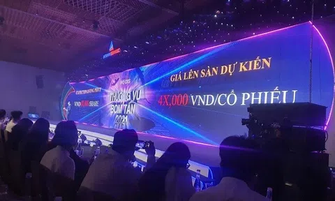 Cổ phiếu DXS và thương vụ IPO 'ác cảm'