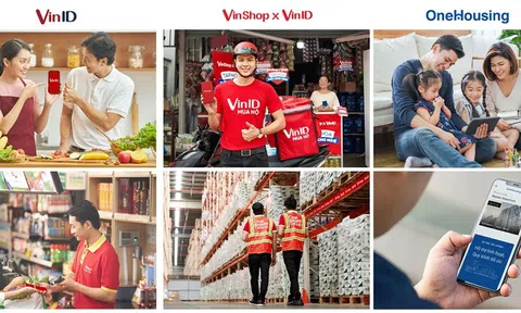 Tỷ phú Vingroup, Techcombank và phi vụ làm ăn mang tên One Mount Group