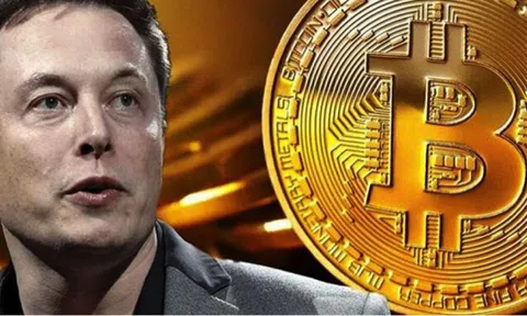 Bitcoin hồi phục hay "cú nảy mèo chết"?