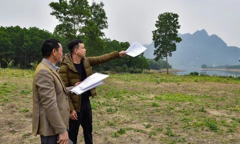 Đầu tư theo đám đông, nhiều nhà đầu tư F0 "tiến thoái lưỡng nan", cay đắng cắt lỗ