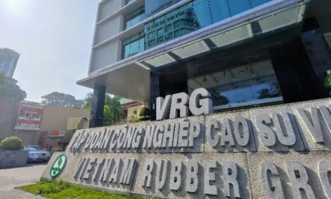 'Siêu ủy ban' sắp nhận hơn 2.300 tỷ đồng cổ tức từ GVR