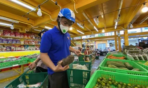 MWG: 'Át chủ bài' Bách hóa Xanh còn cách điểm hòa vốn bao xa?