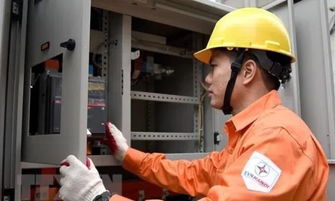 Thủ Tướng đã đồng ý giảm tiền điện 10% - 15% cho người dân tại các khu vực đang giãn cách theo Chỉ thị 16 trong kỳ hóa đơn tháng 8 và tháng 9