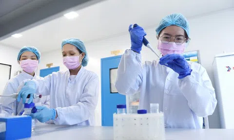 Đánh giá giai đoạn 1-2 vắc xin Nano Covax: Vắc xin an toàn, sinh miễn dịch tốt