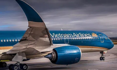 Cổ đông Nhật Bản cho không 124 triệu quyền mua cổ phiếu Vietnam Airlines