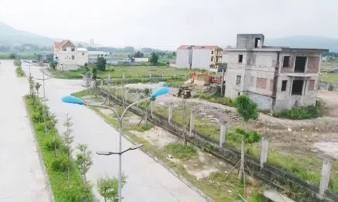 Agribank đấu giá khoản nợ hơn 300 tỷ đồng của 'đại gia' địa ốc Xuân Lãm