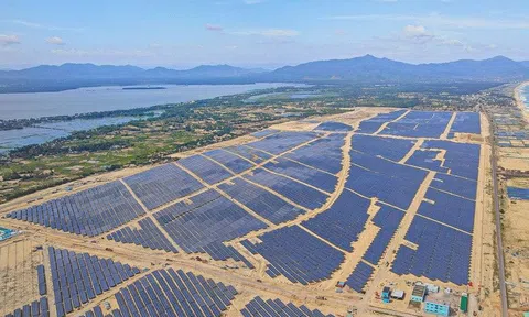 Bamboo Capital lập công ty mua bán nợ