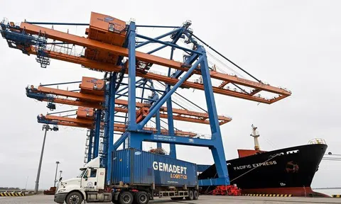 Vì sao sản xuất của Hải Phòng ‘miễn nhiễm’ với Covid-19?