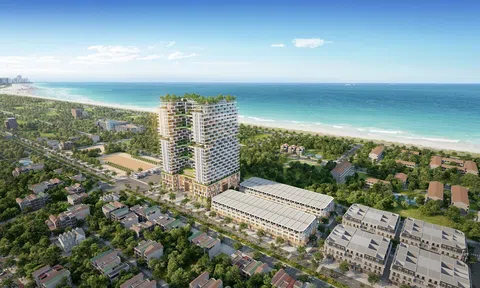 Rủi ro trái phiếu Tập đoàn Apec: 'Lãi gấp 3 lần gửi ngân hàng nhưng không có tài sản đảm bảo'