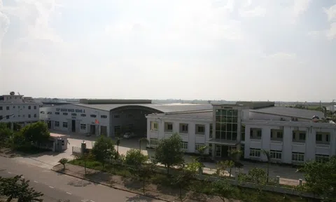 Sau kiểm toán, doanh nghiệp từ lãi 3,6 tỷ thành lỗ 4,7 tỷ đồng