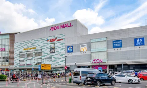 Những công ty vạn tỷ của AEON đã kiếm bộn tiền tại Việt Nam như thế nào?