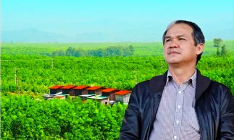 HAGL nói gì về khoản lỗ lũy kế hơn 1.000 tỷ đồng sau khi mất quyền kiểm soát HNG?