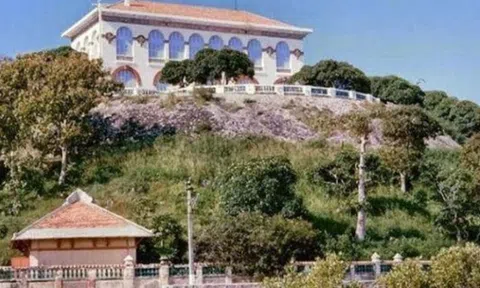 Những dự án 'tai tiếng' của Tập đoàn Hà Đô và đại gia Nguyễn Trọng Thông