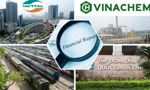 Bức tranh những “quả đấm thép” Việt Nam còn khuyết