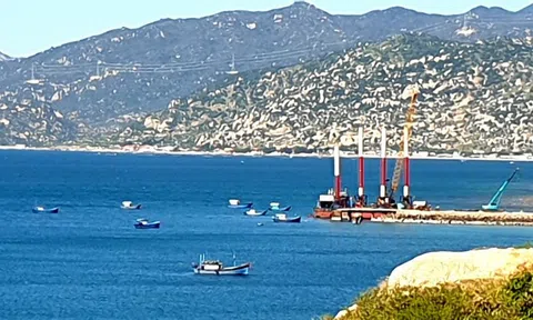 Lộ diện 5 ‘ông lớn’ cùng muốn đầu tư dự án điện lực LNG Cà Ná 49.000 tỷ đồng