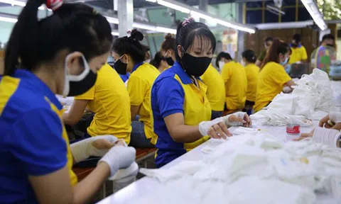 Ai được nhận hỗ trợ từ Quỹ Bảo hiểm thất nghiệp?