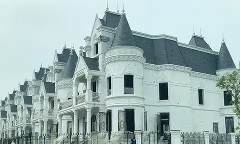 Khu biệt thự "khủng", giá trăm tỷ mỗi căn của nữ chủ tịch Vimedimex vừa bị bắt