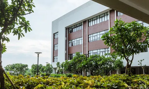 Một trường ở Việt Nam có cơ ngơi 600 tỷ, "chơi lớn" cấp 1 tỷ đồng mua nhà mời Giáo sư - Tiến sĩ về dạy, không gian không khác gì châu Âu!