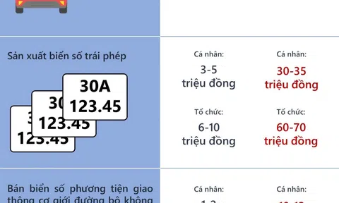 Mức phạt vi phạm giao thông mới nhất năm 2022 có thể lên tới 70 triệu đồng