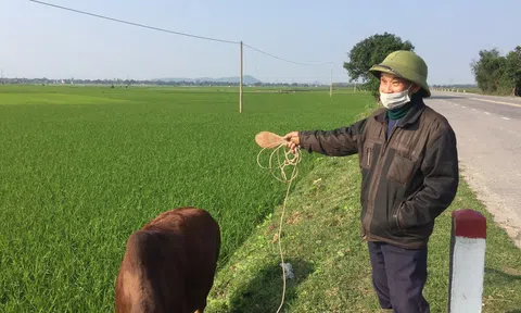 Nguồn thu từ đất đai tăng 3-4 lần, nên mừng hay lo?