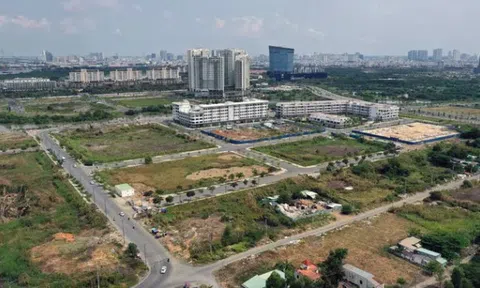 Đấu giá đất: Đừng chỉ nghĩ đến giá cao hay thấp