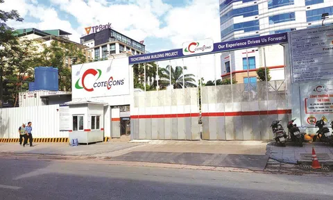 Lợi nhuận chưa tìm thấy đáy dưới thời Kusto, cổ phiếu Coteccons (CTD) lao dốc đến bao giờ?