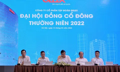 'Đại gia' Nguyễn Văn Tuấn nói gì về chuyện Gelex ‘thâu tóm’ cổ phiếu DN nhà nước?