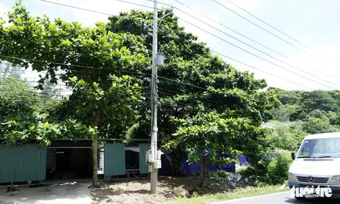 Vì sao không lắp điện mặt trời, điện gió mà lại kéo cáp ngầm 4.950 tỉ đồng ra Côn Đảo?