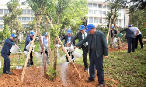 Phủ xanh đô thị tại Bình Thuận: Đã có doanh nghiệp tiên phong đồng hành