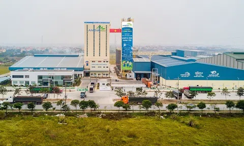 Khép kín chuỗi sản xuất, nâng cao năng suất vật nuôi giúp gia tăng hiệu quả kinh doanh của Nova Consumer