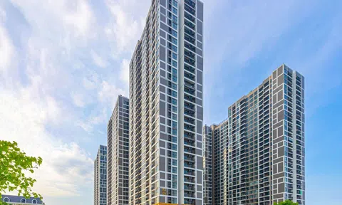 Trải nghiệm căn hộ nghỉ dưỡng phong cách Nhật Bản tại Vinhomes Ocean Park