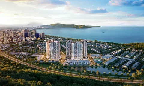 Xu hướng sống ở chung cư của người trẻ Quy Nhơn