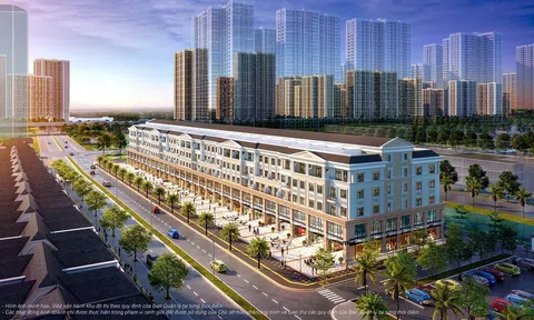 3 lý do khiến khu thương mại dịch vụ Vinhomes Grand Park thu hút nhiều thương hiệu lớn