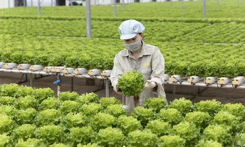 WinCommerce: Doanh nghiệp bán lẻ đầu tiên của Việt Nam nhận giải tại Asia Fruit Awards 2023