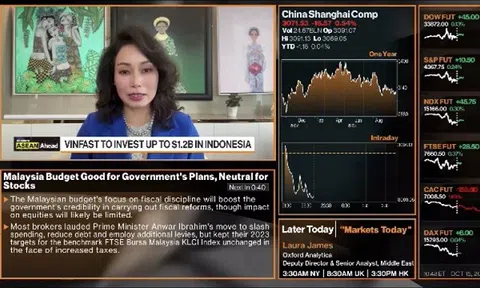 CEO VinFast: 76 triệu cổ phiếu đăng ký lưu hành bổ sung sẽ giúp VFS nâng cao thanh khoản