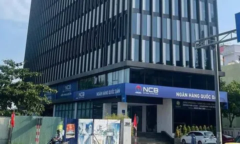 Chủ đầu tư Dự án The Summit Building Đà Nẵng đang bị kiện phá sản là ai?