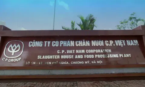 Thanh tra ngành thuế truy thu hàng nghìn tỷ đồng từ doanh nghiệp