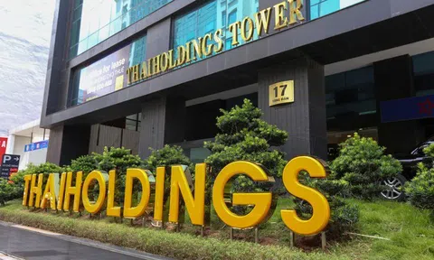 Đầu tư 1.225,3 tỷ đồng vào chứng khoán, kết thúc quý 2/2021, Thaiholdings lãi 106,1 tỷ đồng