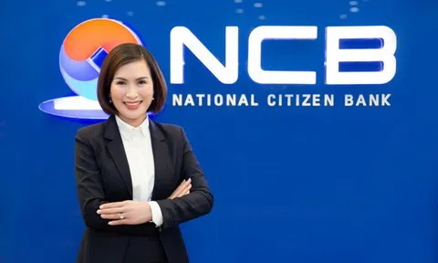 Cổ phiếu NVB tăng kinh ngạc kể từ sau khi có Chủ tịch mới